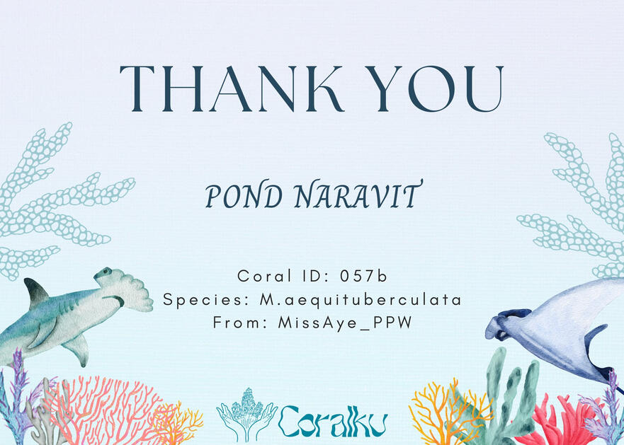 POND NARAVIT