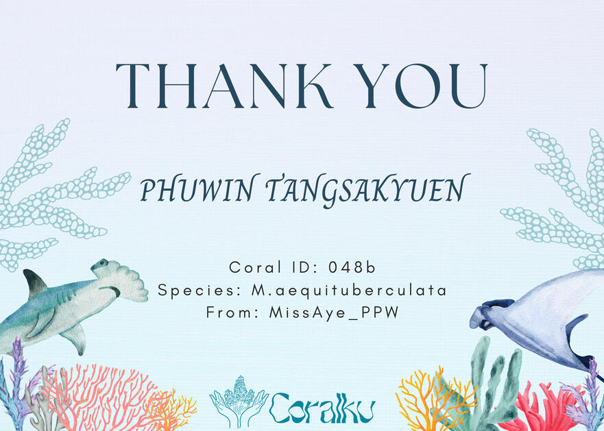 PHUWIN TANG