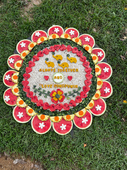 POND NARAVIT POND NARAVIT