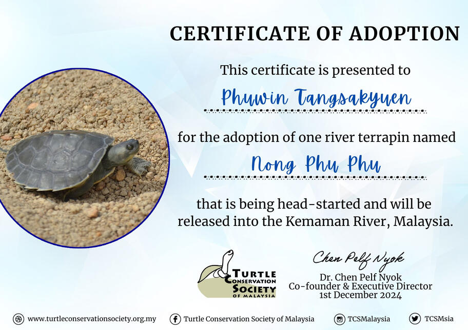 PHUWIN TANG